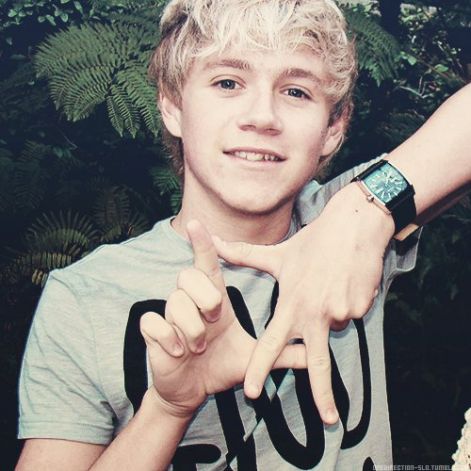 niall-one-direction-25413890-500-500.jpg